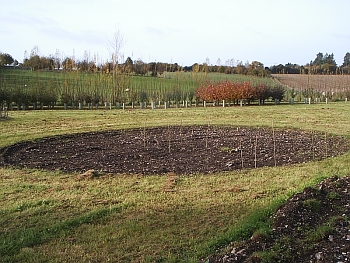 Picture of the work underway