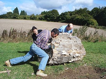 Picture of volunteers at work
