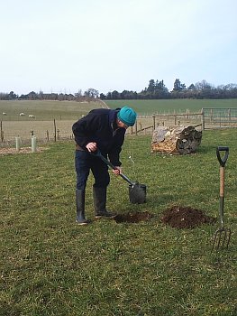 Picture of the work underway