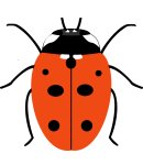 Coccinella septempunctata