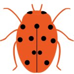 Bryony ladybird