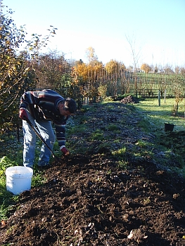 Picture of the work underway