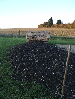 Picture of the work underway