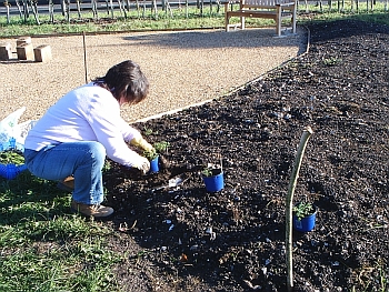 Picture of the work underway