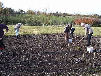 Picture of the work underway