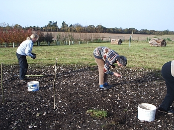 Picture of the work underway