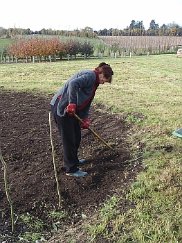 Picture of the work underway