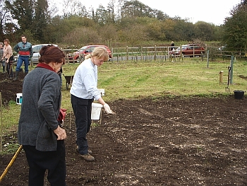 Picture of the work underway