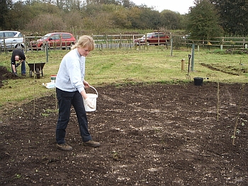 Picture of the work underway