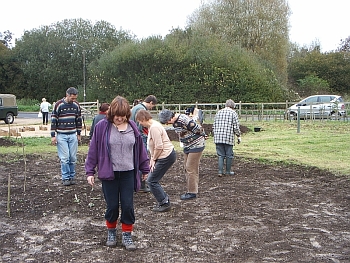 Picture of the work underway