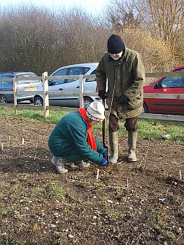 Picture of the work underway