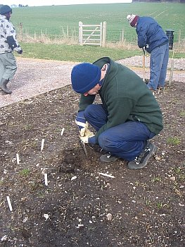 Picture of the work underway