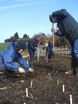 Picture of the work underway