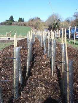 Picture of the work underway