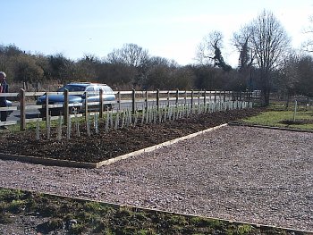 Picture of the work underway