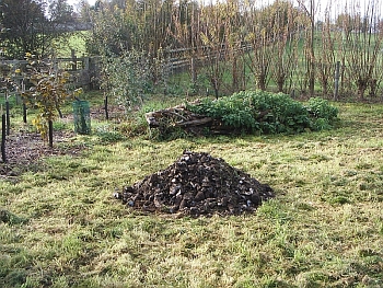 Picture of the work underway