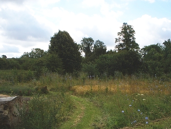 Little Meadow in July 2007