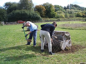 Picture of volunteers at work