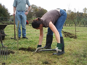 Picture of the work underway