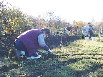 Picture of the work underway