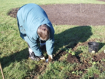 Picture of the work underway