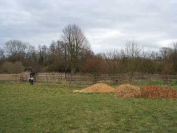 Picture of volunteers at work