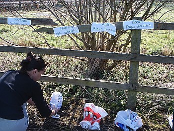 Picture of volunteers at work