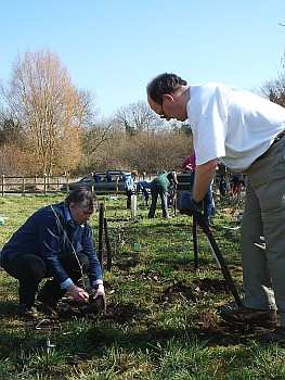 Picture of volunteers at work