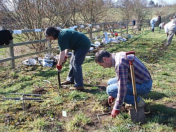 Picture of volunteers at work