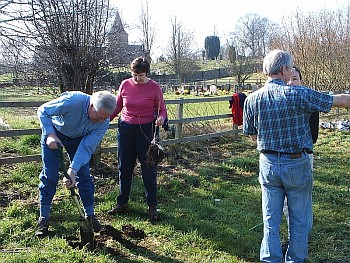 Picture of volunteers at work