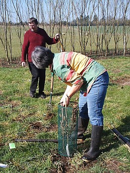 Picture of volunteers at work