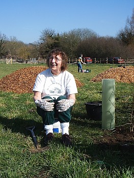 Picture of volunteers at work