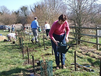 Picture of volunteers at work