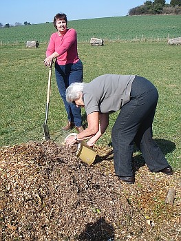 Picture of volunteers at work