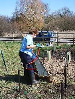 Picture of volunteers at work