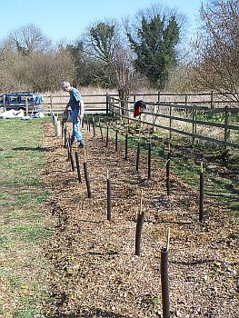 Picture of volunteers at work