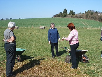 Picture of volunteers at work