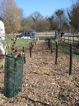 Picture of volunteers at work