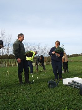 Picture of volunteers at work