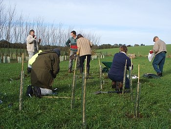 Picture of volunteers at work