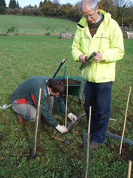Picture of volunteers at work