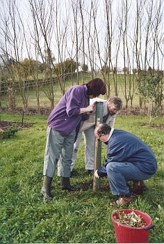 Picture of volunteers at work