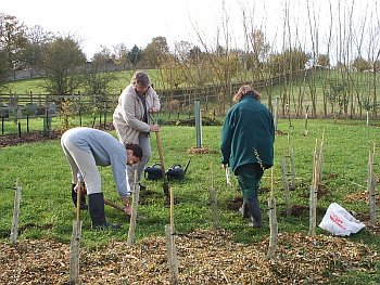 Picture of volunteers at work