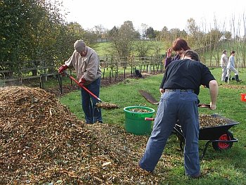 Picture of volunteers at work