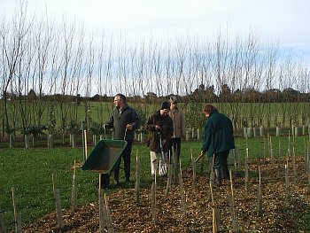 Picture of volunteers at work