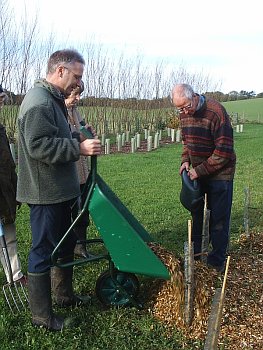 Picture of volunteers at work
