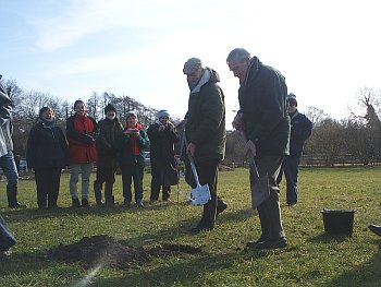 Picture of the work underway