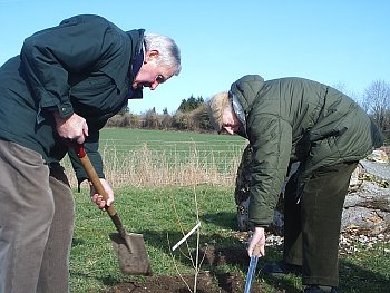 Picture of the work underway