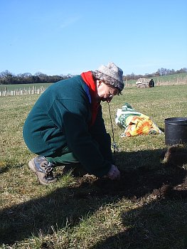 Picture of the work underway