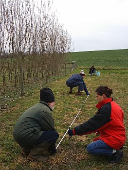 Picture of volunteers at work